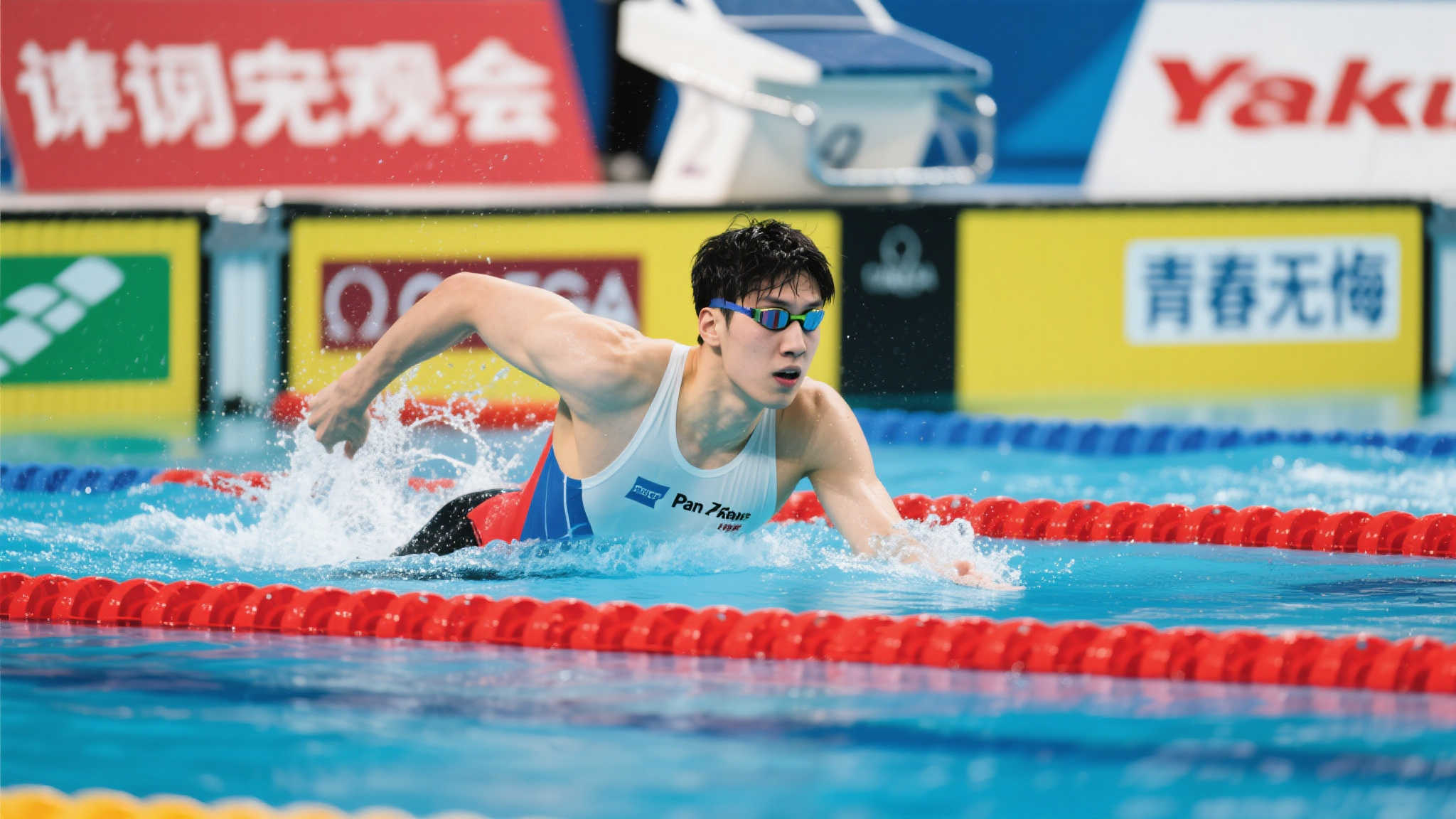 却都展现了 却都展现了